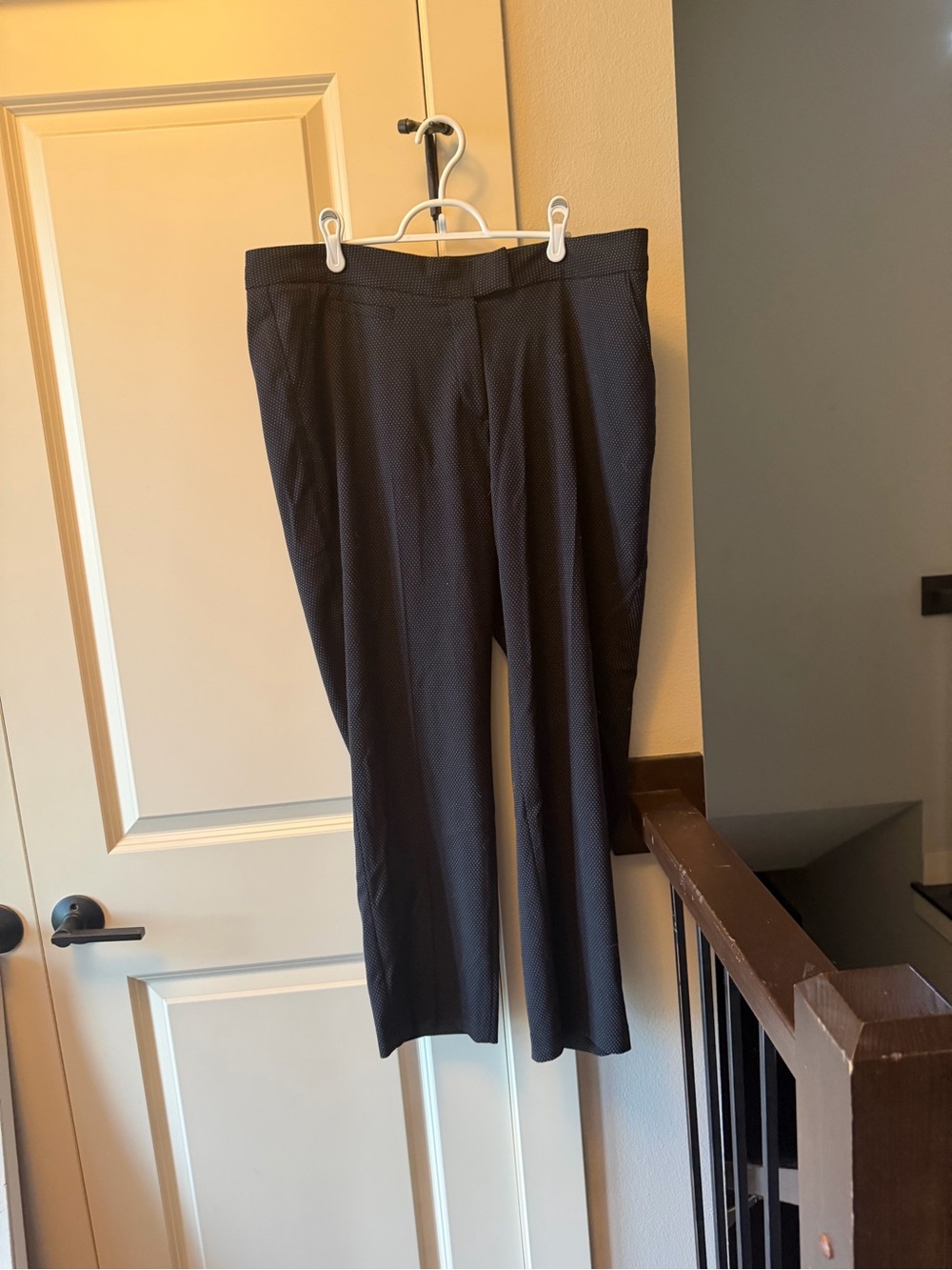 Dress pants